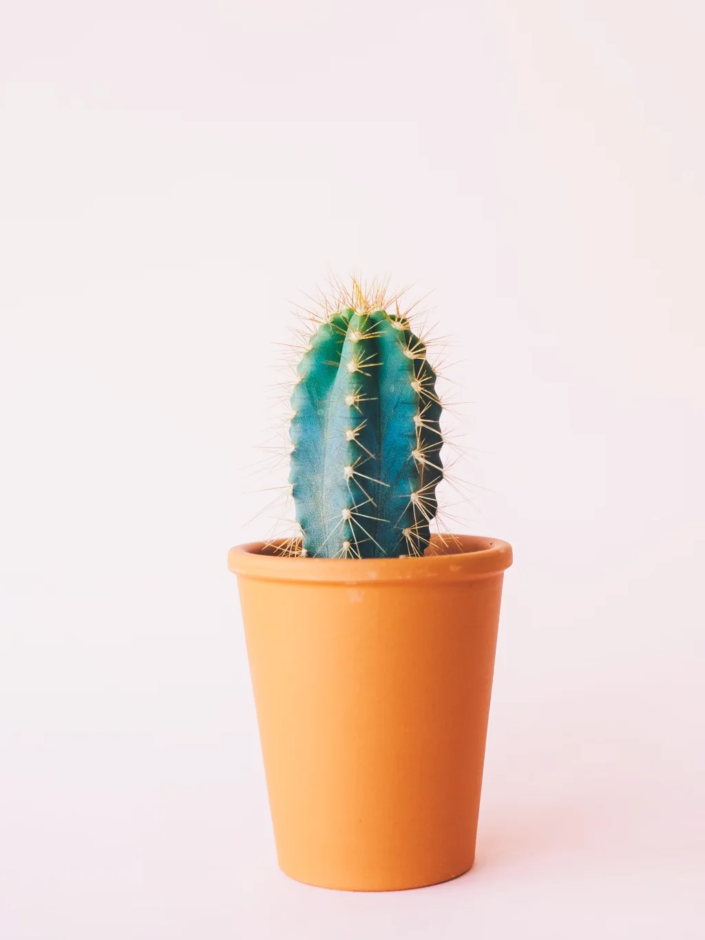 Clinic Appointment App